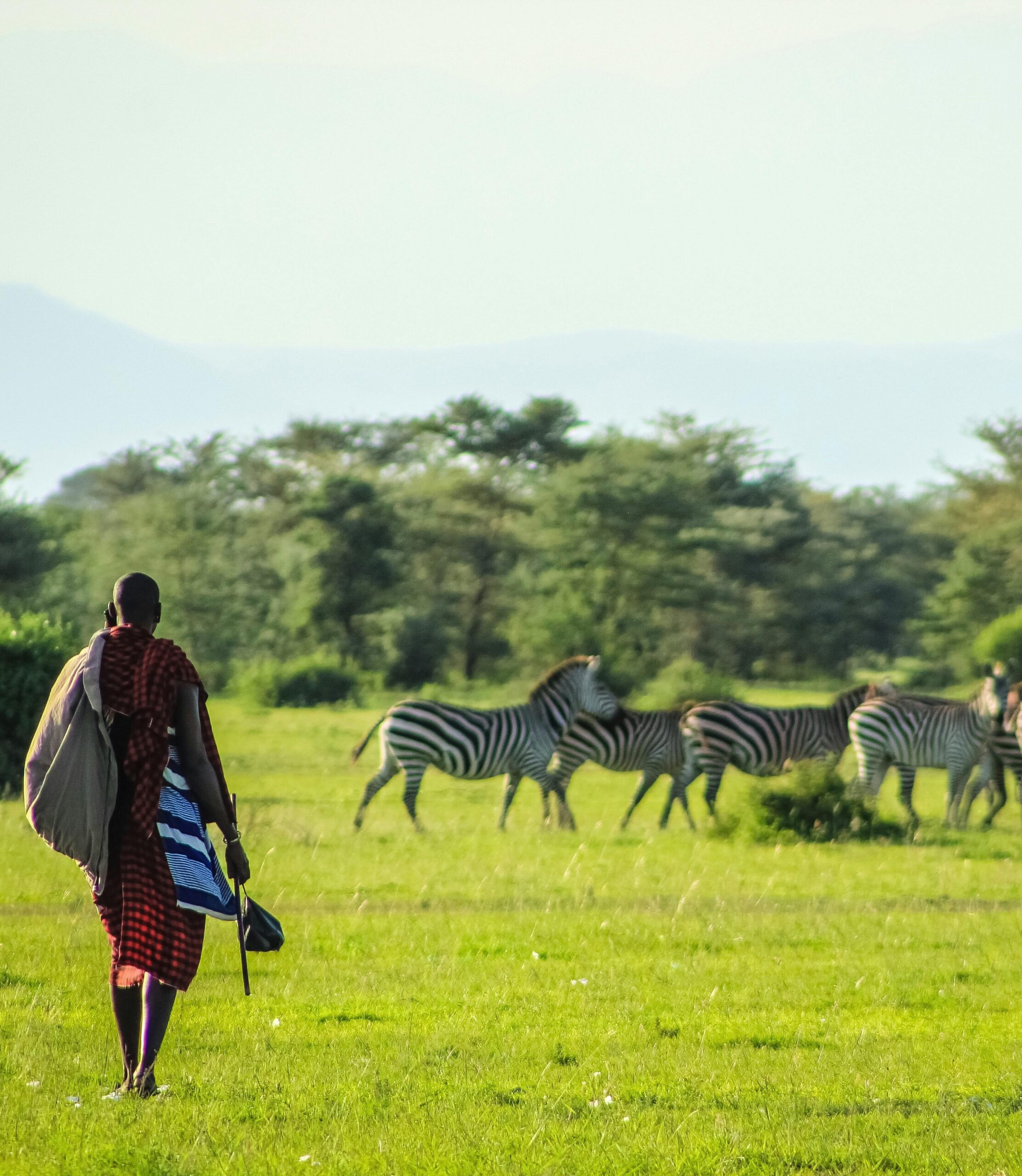 masai